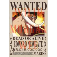 One Piece Edward Newgate One Piece Edward Newgate